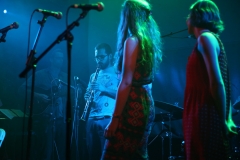 The Troubadour LA